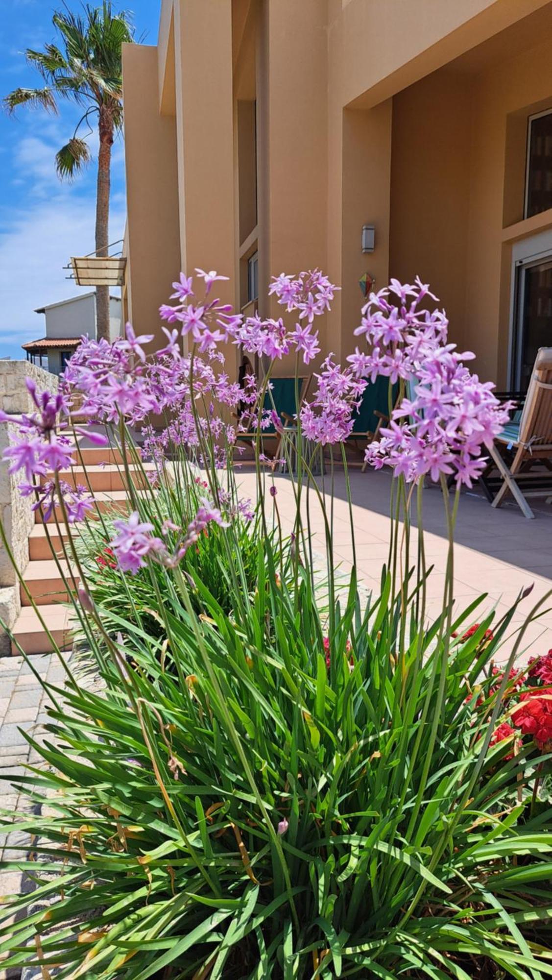 Vila Gea Maleme Exteriér fotografie